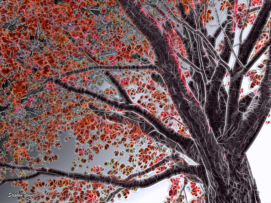 Cold Autumn Mixed Media by Stephen Younts