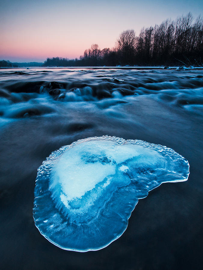 Cold blue Photograph by Davorin Mance