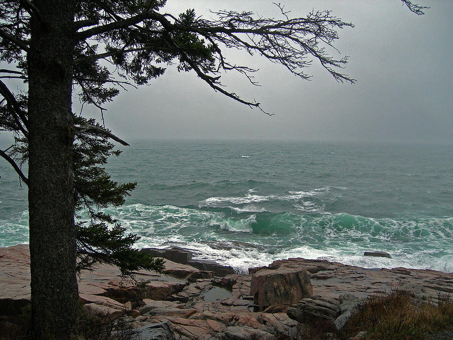Acadia National Park Photograph - Cold Green Surf by Skip Willits