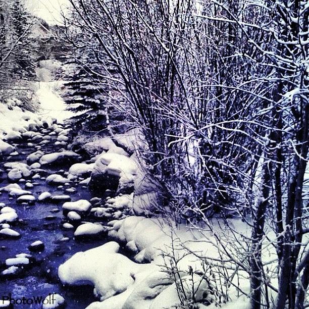 Colorado Photograph - Cold Snowy Beaver Creek, Colorado by Wolf Stumpf