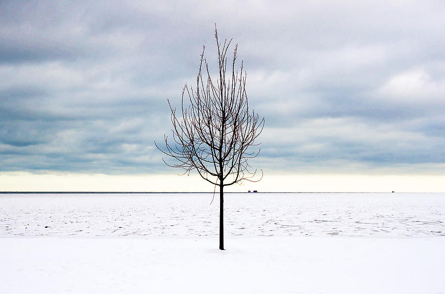 Cold Winter Photograph by Milena Ilieva