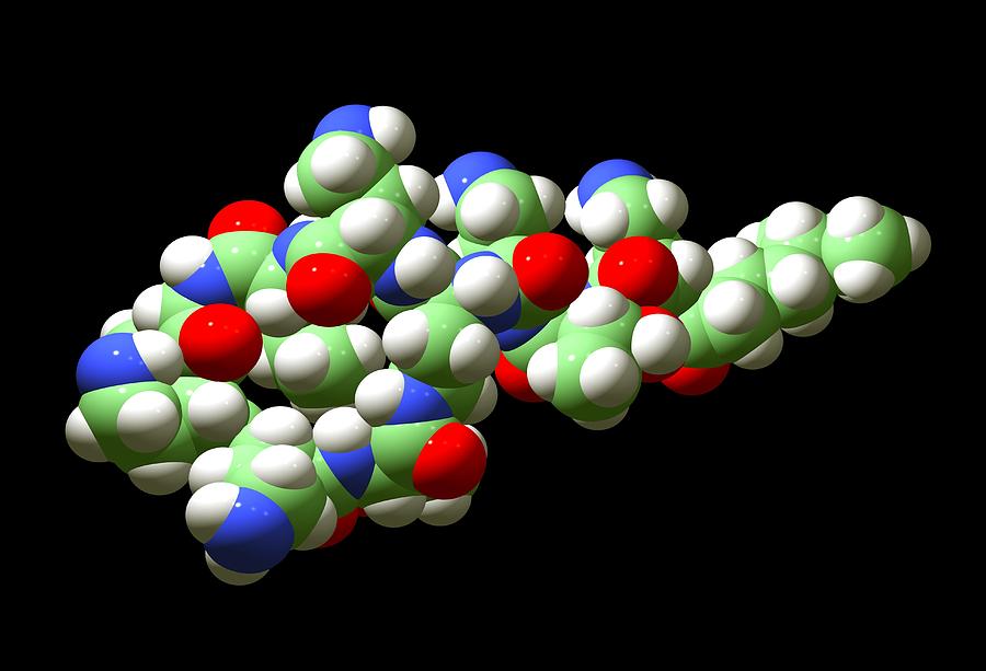 Colistin Antibiotic Molecule Photograph by Dr Tim Evans - Fine Art America