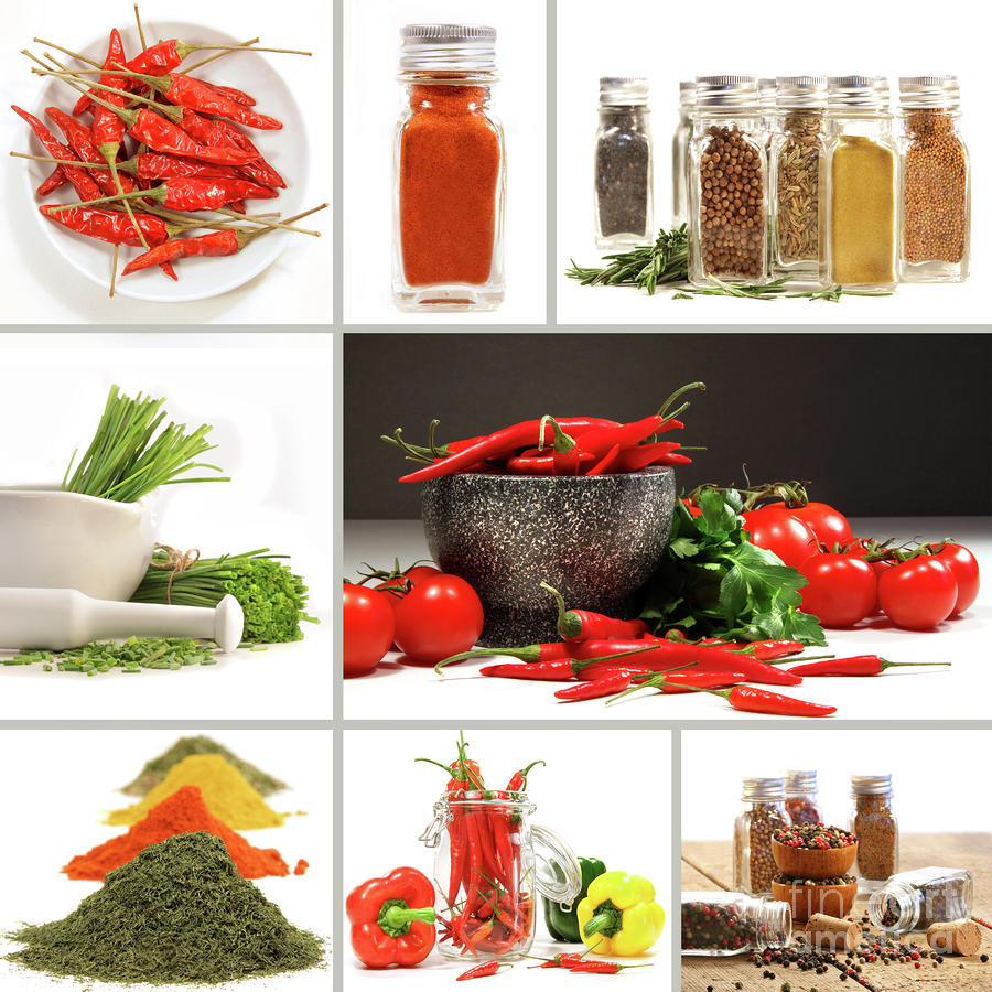 Bottle Photograph - Collage of different colorful spices for seasoning by Sandra Cunningham