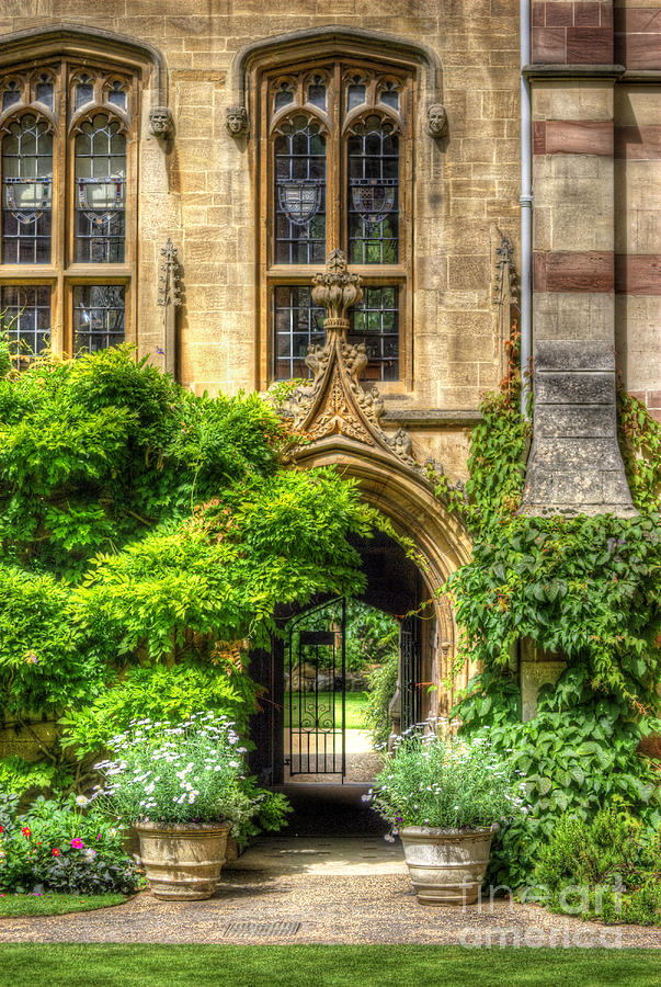 College Garden Photograph by Yhun Suarez