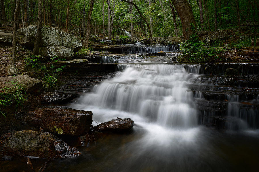 Collins Creek Falls Photograph by Renee Hardison