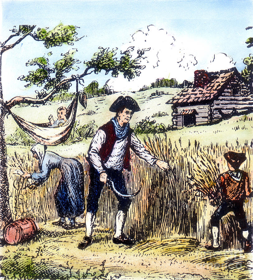 Colonial Farming Photograph by Granger