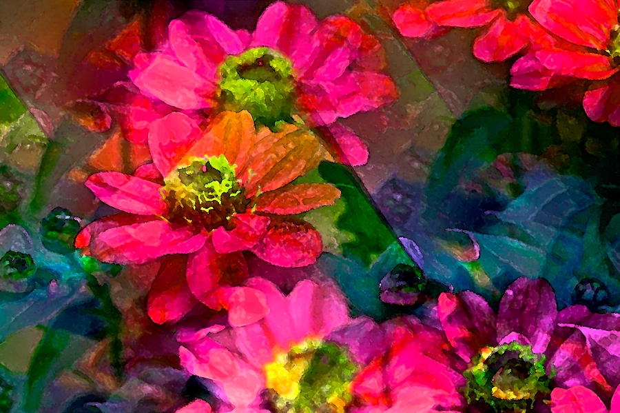 Color 110 Photograph by Pamela Cooper