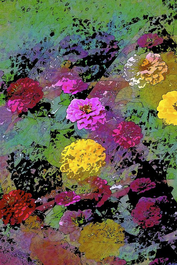 Flower Photograph - Color 117 by Pamela Cooper