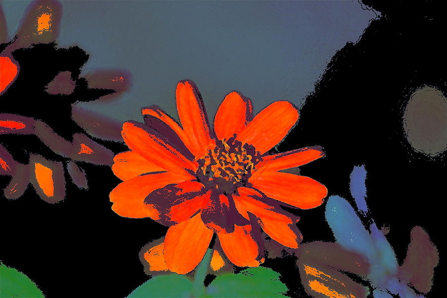 Flower Photograph - Color 80 by Pamela Cooper