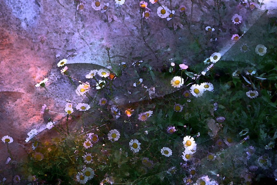 Flower Photograph - Color 99 by Pamela Cooper