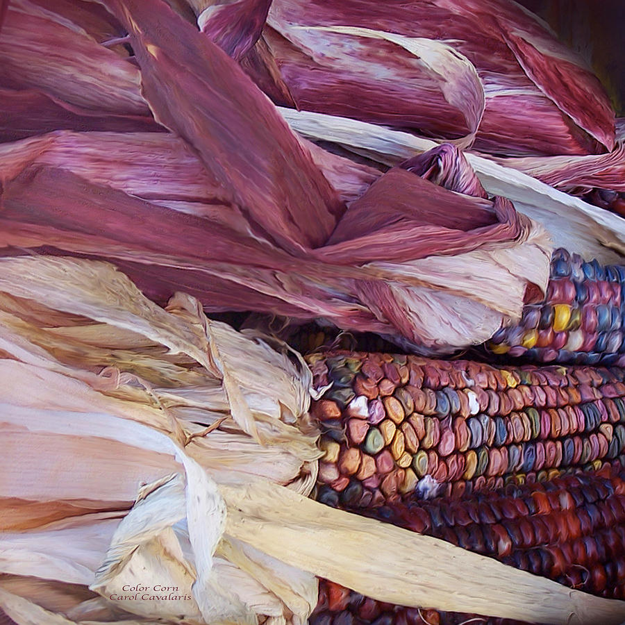 Color Corn Mixed Media by Carol Cavalaris
