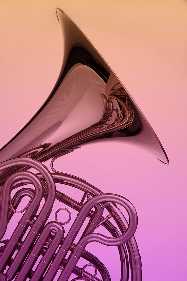 Color French Horn Photograph by M K Miller