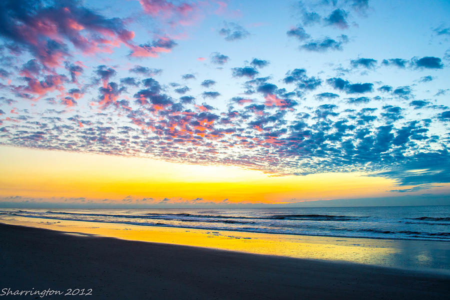 Color in the Sky Photograph by Shannon Harrington