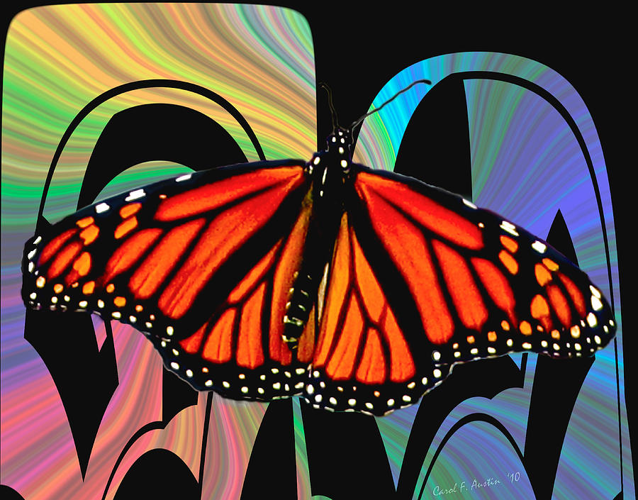 Color My World With Butterflies Photograph by Carol F Austin