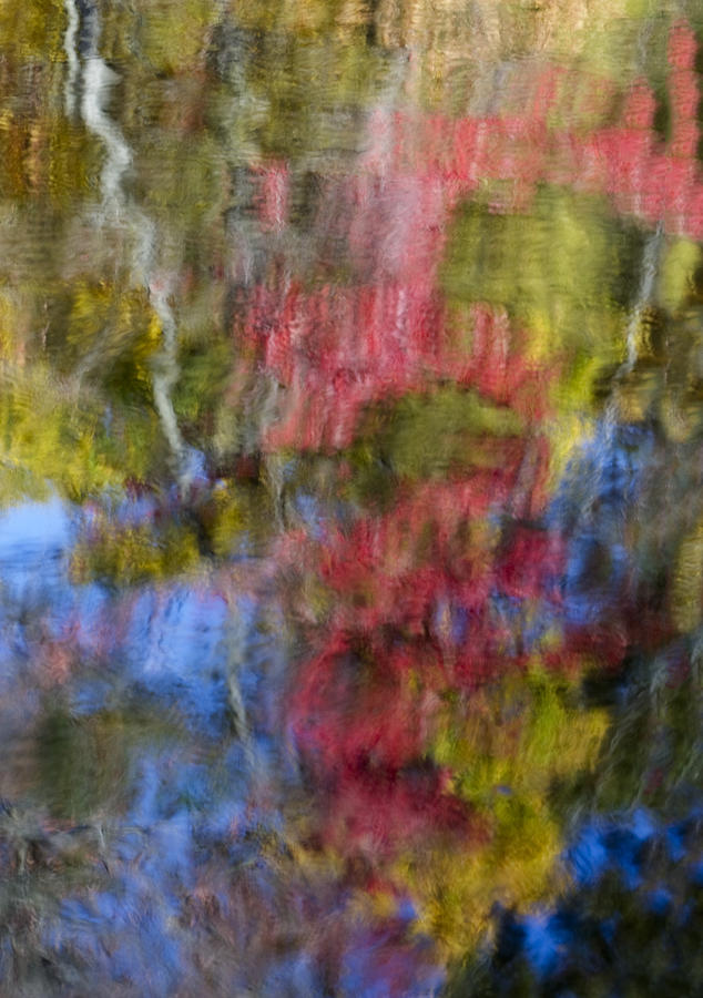 Abstract Photograph - Color Palette by Susan Candelario