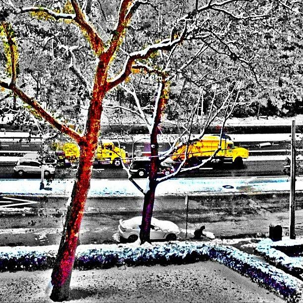 New York City Photograph - #color #pop #nyc #noreaster #snow by Antonio DeFeo