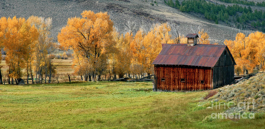 Colorado Barn Photograph by Dave Mills