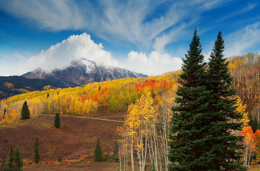 Colorado Fall Photograph by Tim Reaves