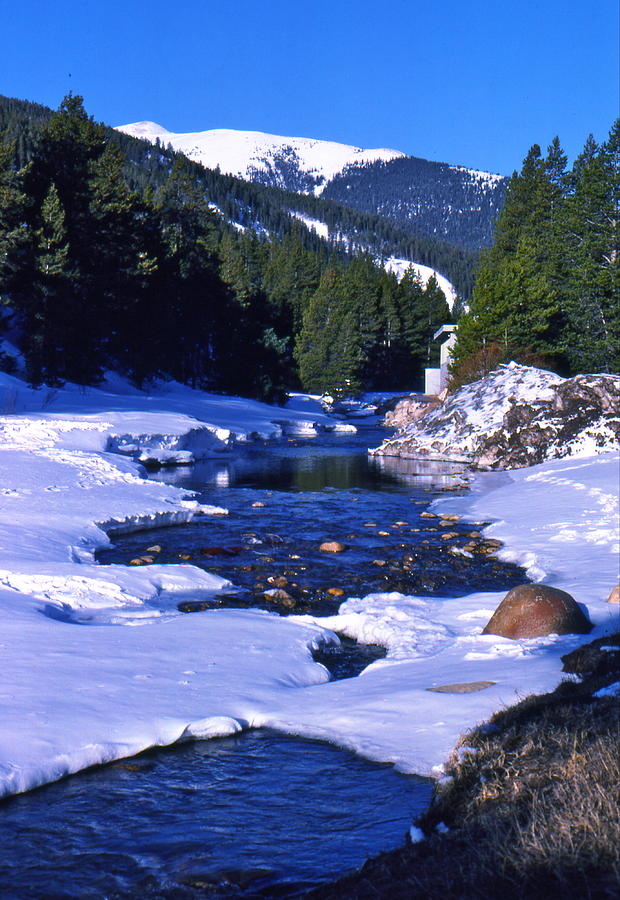 Colorado Mountain Stream Photograph by Lori Miller