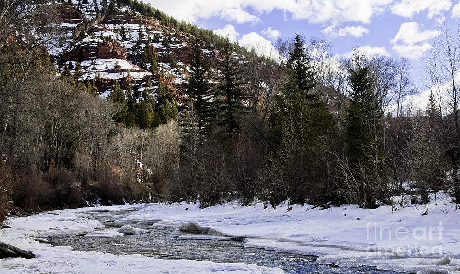 Colorado River Photograph by David Waldrop