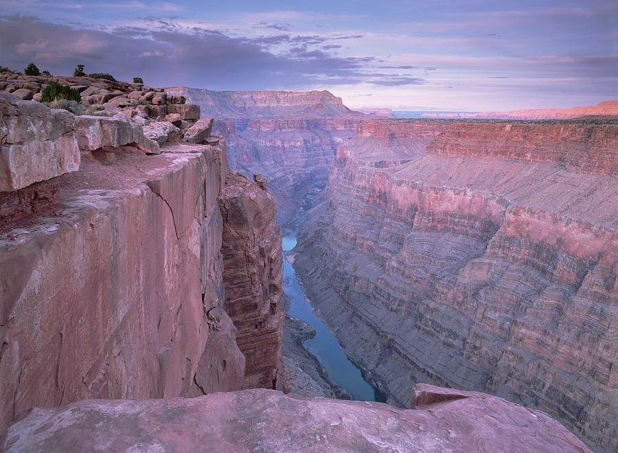 Colorado River From Toroweap Overlook Photograph by Tim Fitzharris
