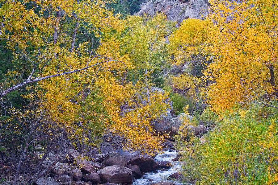 Colorado Rocky Mountain Autumn Canyon View Photograph by James BO Insogna