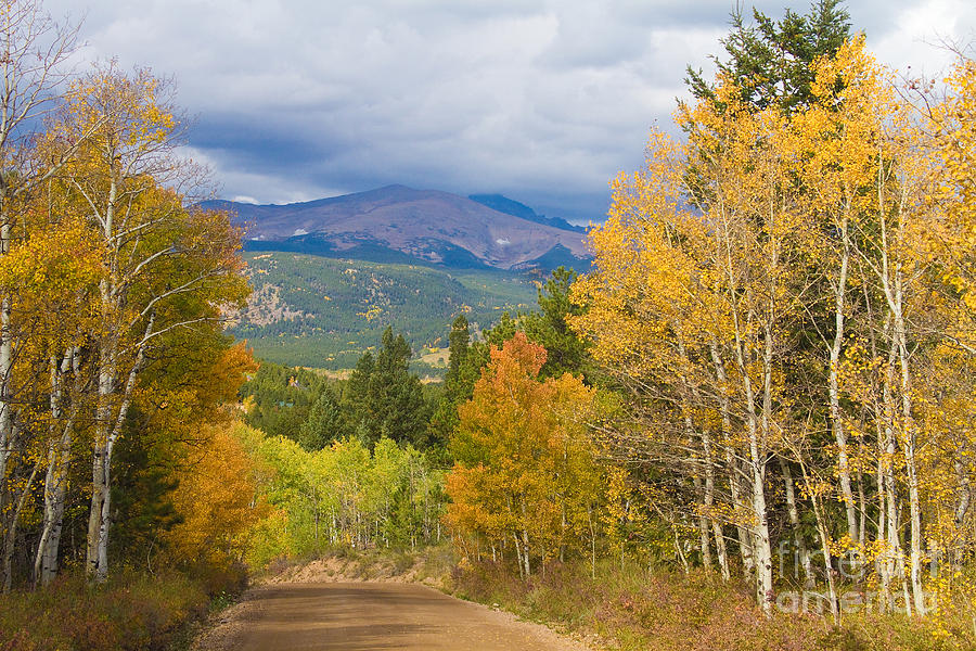 Colorado Rocky Mountain Autumn Scenic Drive Photograph by James BO Insogna