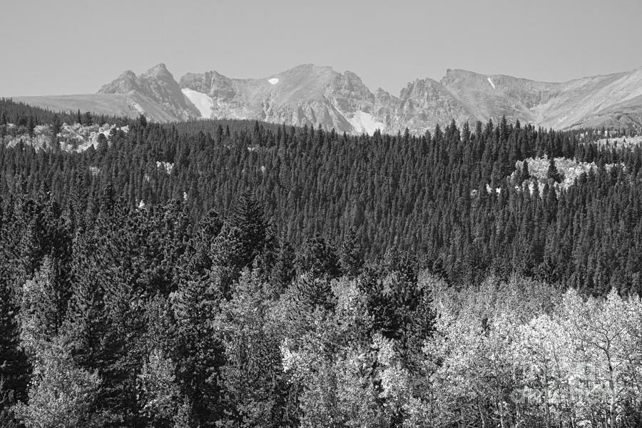 Colorado Rocky Mountain Continental Divide View BW Photograph by James BO Insogna