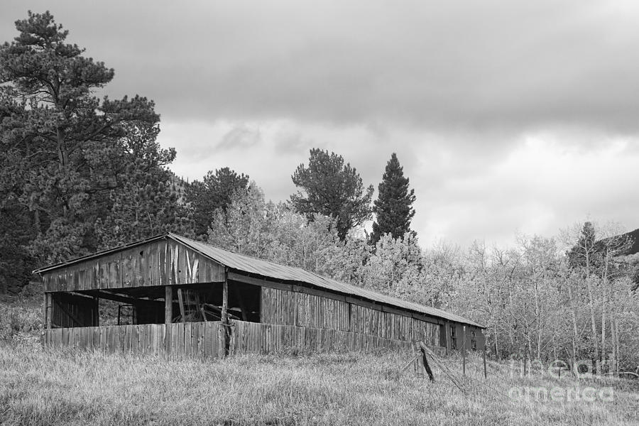 Barn Photograph - Colorado Rustic Autumn High Country Barn BW by James BO Insogna