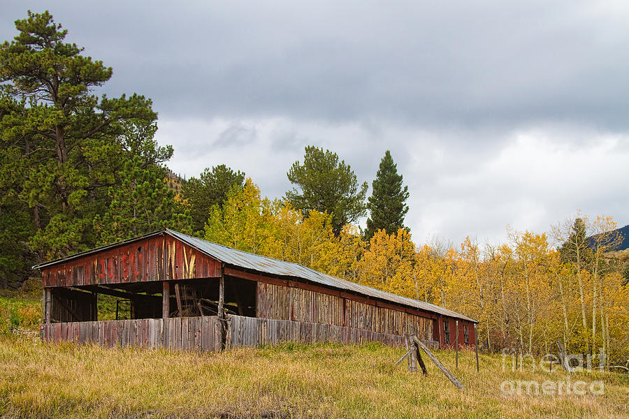 Colorado Rustic Autumn High Country Barn Photograph by James BO Insogna