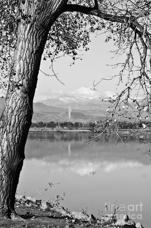 Nature Photograph - Colorado Twin Peaks Reflections in Black and White by James BO Insogna
