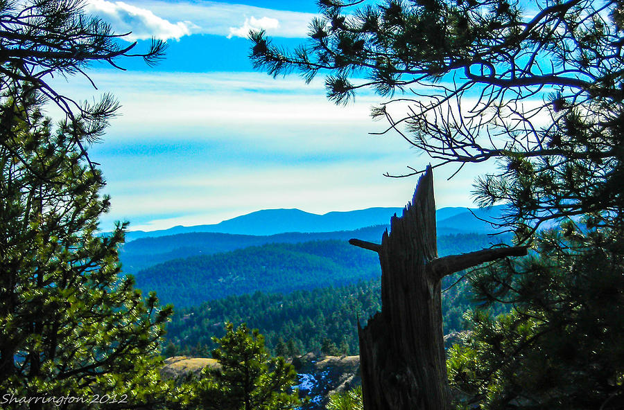 Colorado view Photograph by Shannon Harrington