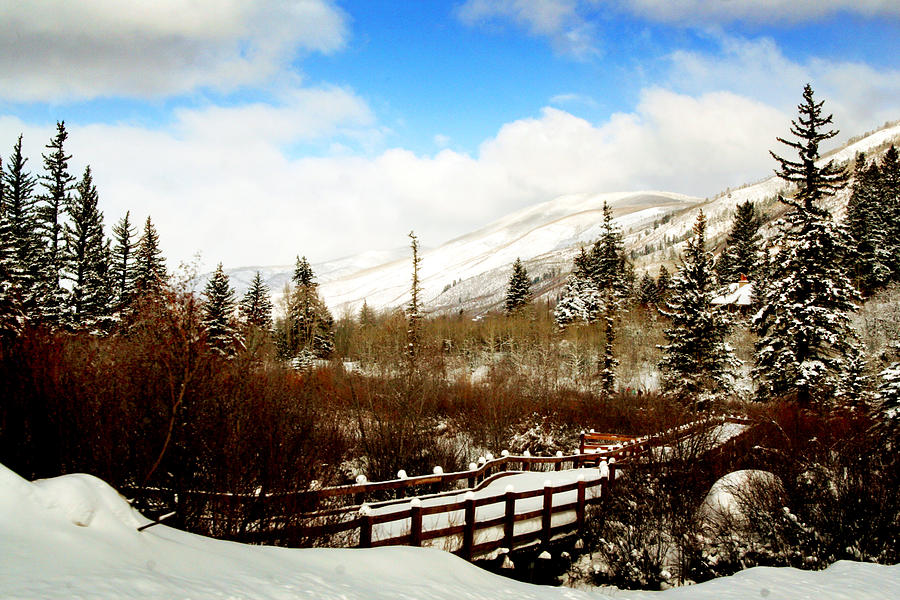 Winter Photograph - Colorado Winter Day by Ellen Heaverlo