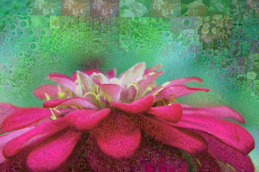 Lily Digital Art - Colored Petals 44 by Chye Kwang Yan
