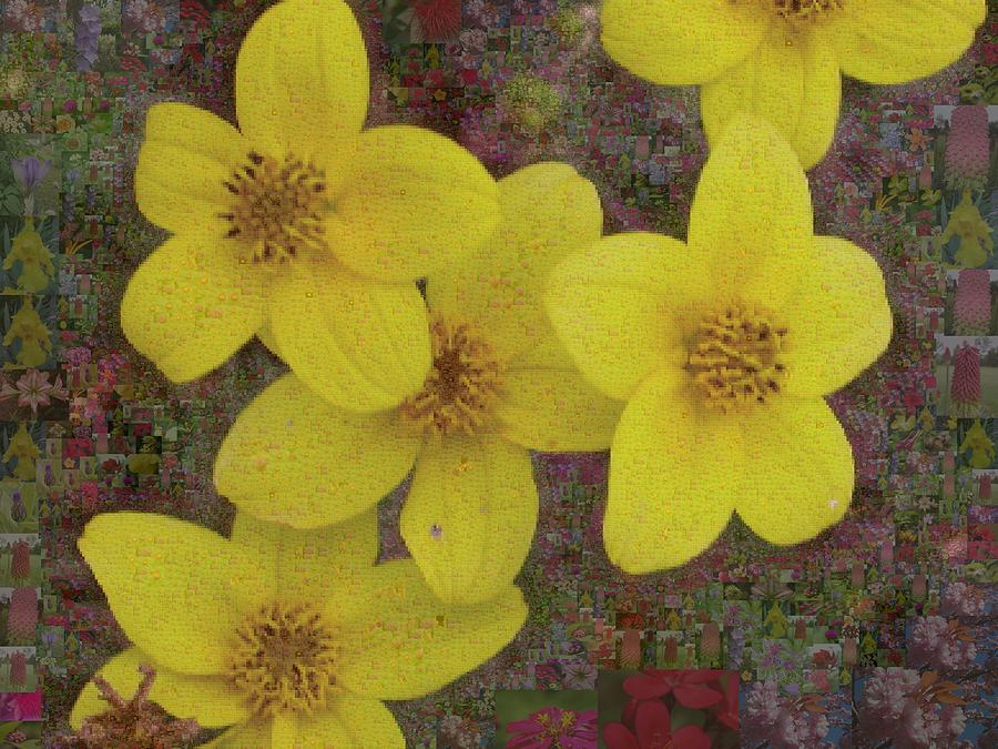 Lily Digital Art - Colored Petals 74 by Chye Kwang Yan