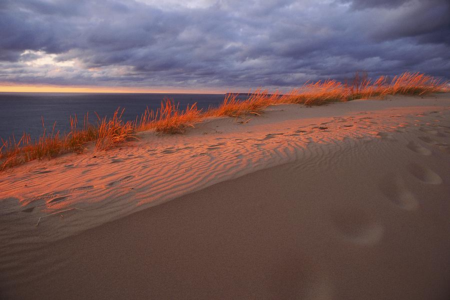 Lake Michigan Sand Dunes Photograph by Melissa Farlow