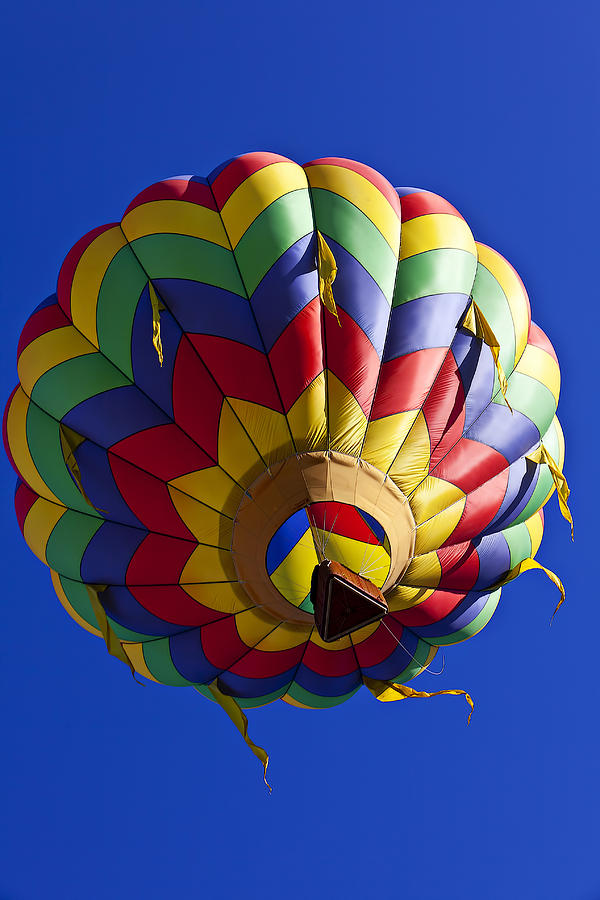 Colorful Balloon Photograph by Garry Gay