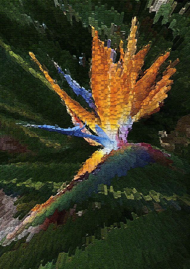 Colorful Bird Digital Art by Gina Cordova