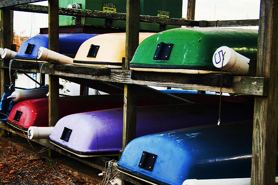 Colorful Boats For Rent Lake Guntersville Alabama Photograph by Kathy Clark