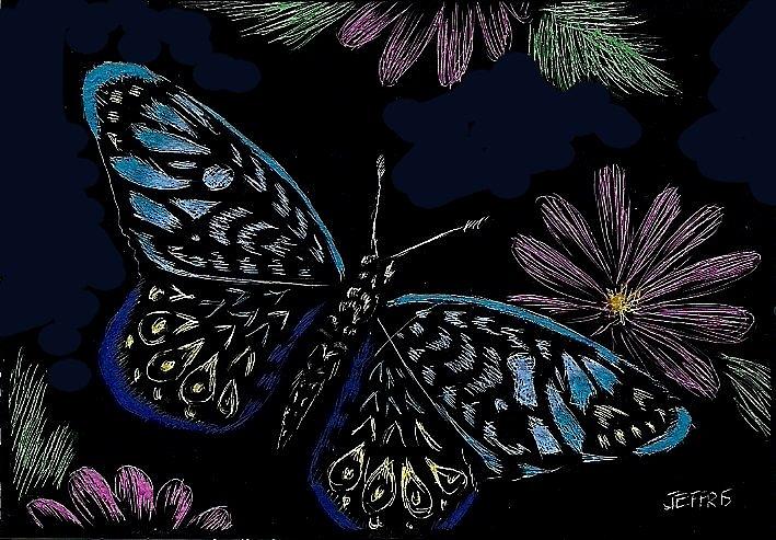 Butterfly Digital Art - Colorful Butterfly by Jennifer Jeffris