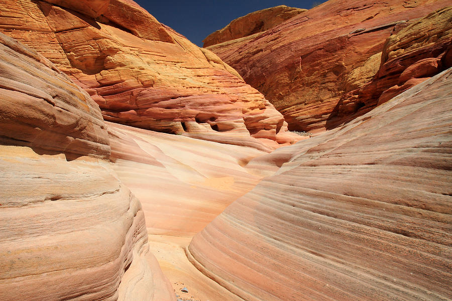 Colorful canyon Valley of Fire Photograph by Pierre Leclerc Photography