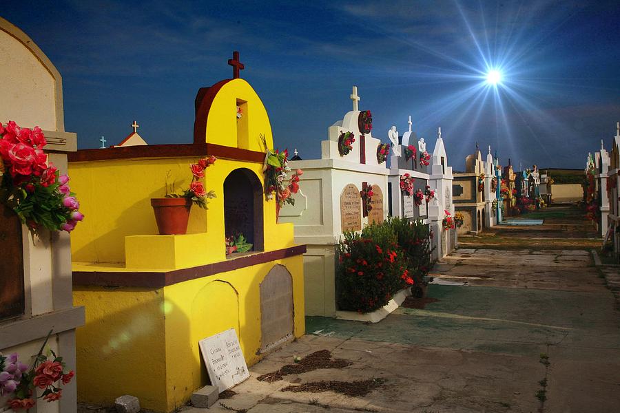 Colorful Cemetery in Aruba Digital Art by Carrie OBrien Sibley