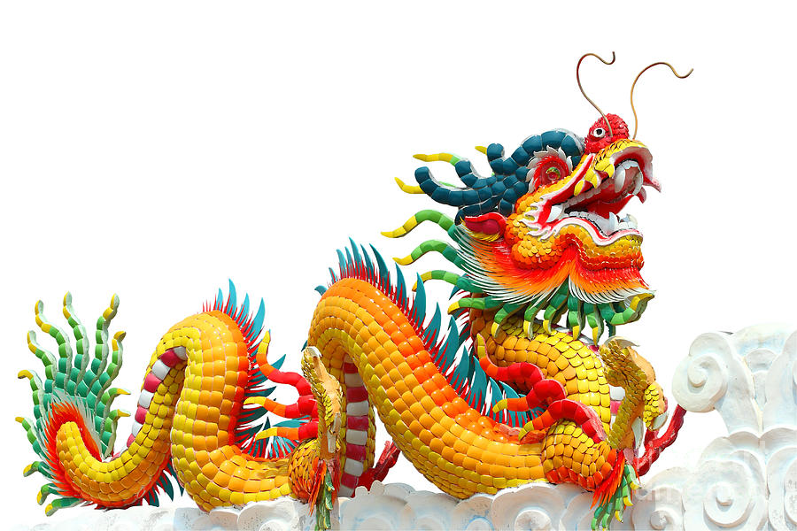 colorful chinese dragons