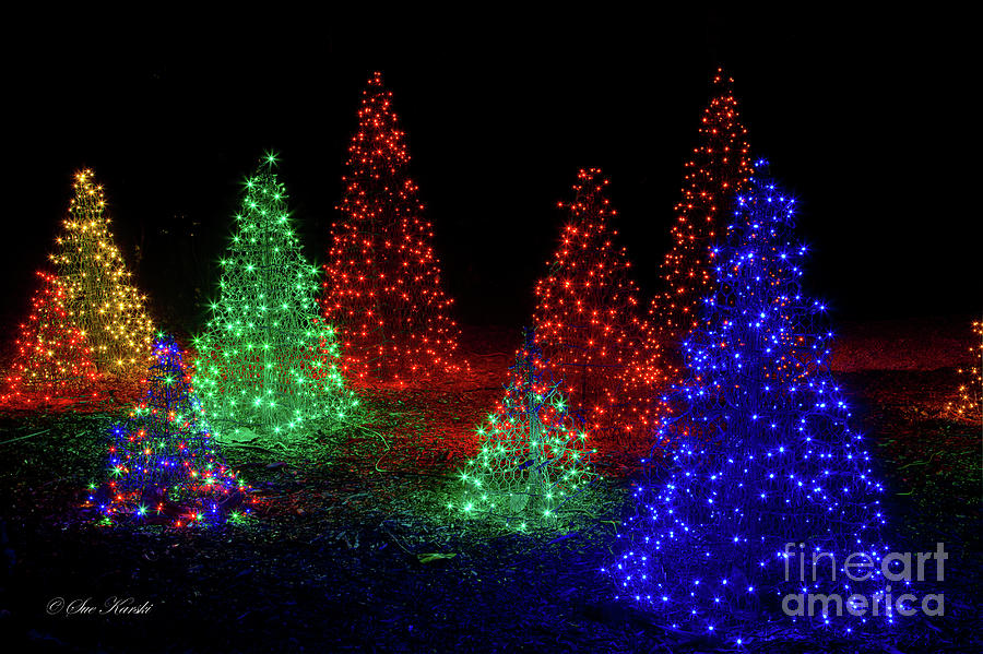Colorful Christmas Trees Photograph by Sue Karski
