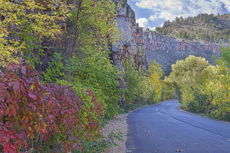 Colorful Colorado Lyons Autumn Road Photograph by James BO Insogna