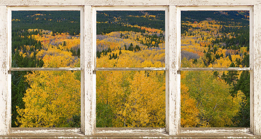 Colorful Colorado Picture Window Frame View Photo Art Photograph by James BO Insogna