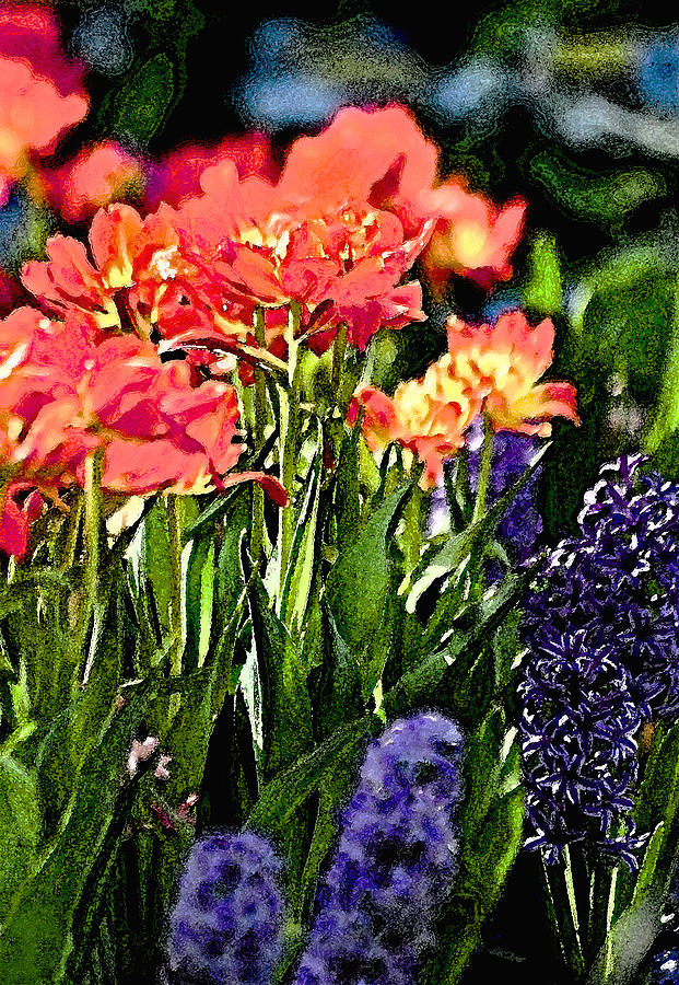 Colorful Flower Watercolor Photograph by Michael Austin