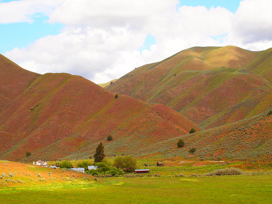 Colorful Hills Photograph by Jan Noblitt - Fine Art America