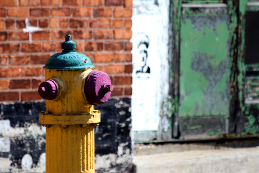 Colorful Hydrant Photograph by Mark J Seefeldt