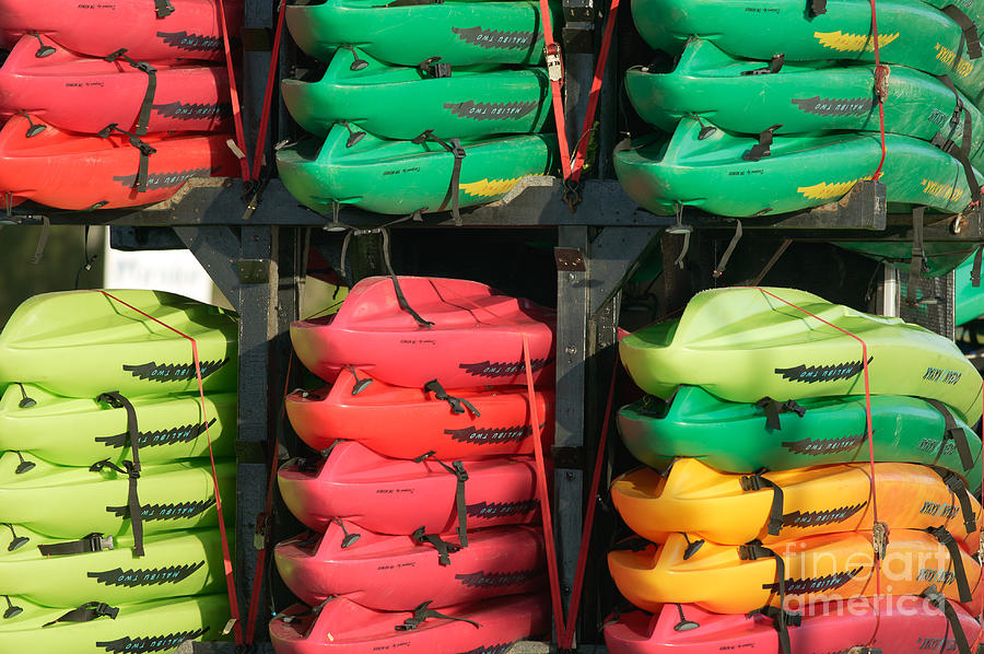Colorful Kayaks Photograph by Clarence Holmes